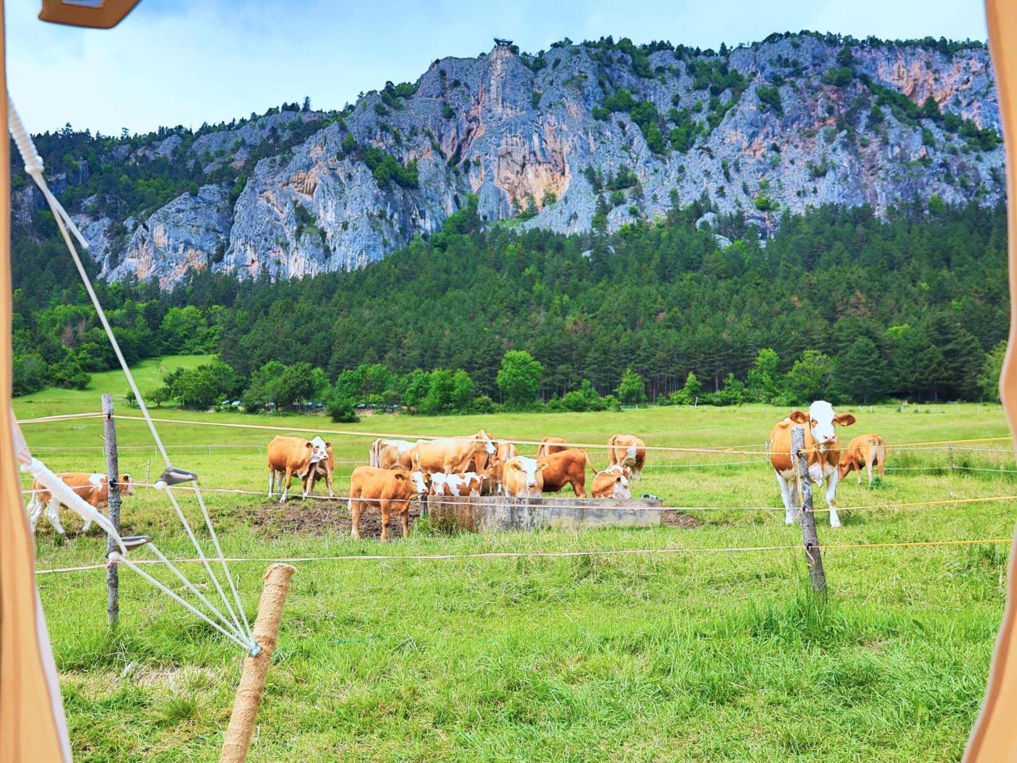 Glamping Hohe Wand - Zelt Mit Sternenfenster Und Whirlpool Hotel Maiersdorf ภายนอก รูปภาพ