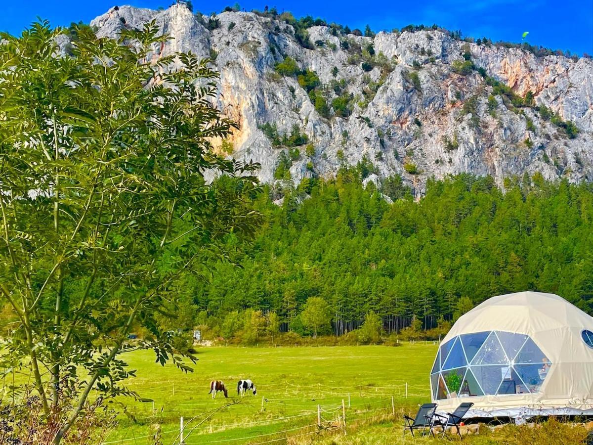 Glamping Hohe Wand - Zelt Mit Sternenfenster Und Whirlpool Hotel Maiersdorf ภายนอก รูปภาพ